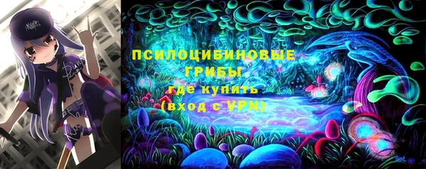 первитин Гусиноозёрск