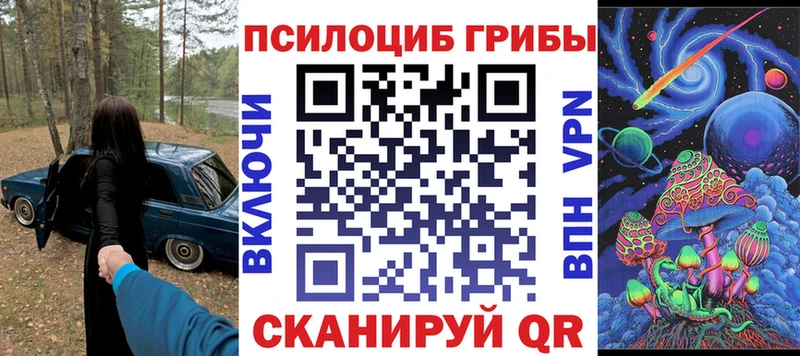 закладка  Никольск  Галлюциногенные грибы Psilocybine cubensis 